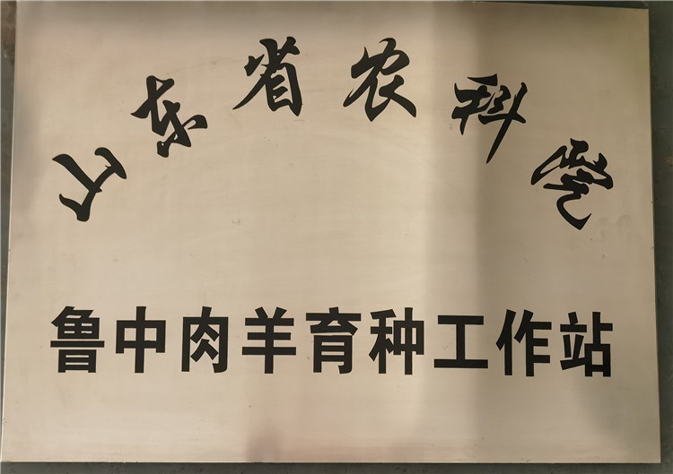 山東省農(nóng)科院魯中肉羊育種工作站